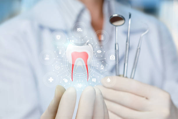 Best Traditional Braces  in Lakeland, MN