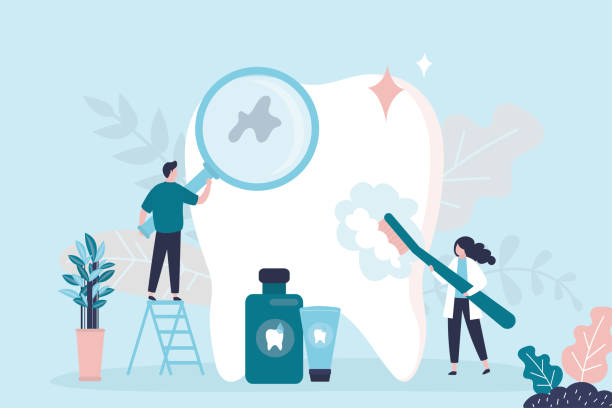  Lakeland, MN Holistic Dental Services Pros